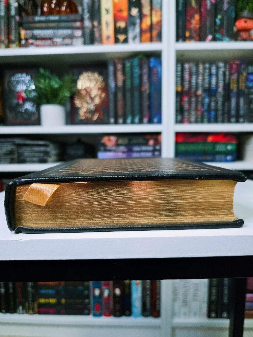 RARE DRACULA Leather Bound Collectors Edition - Picture 8 of 12